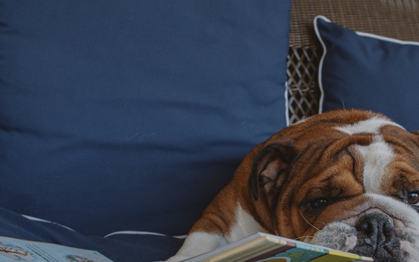 Bruno Takes Annual Leave