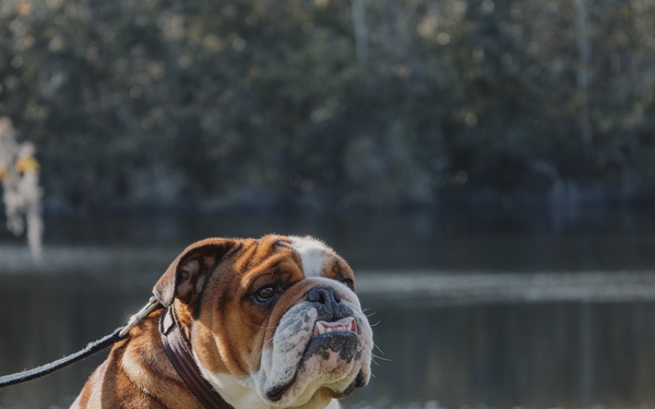 Bruno Takes Annual Leave