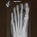 Behind the images: radiology in action