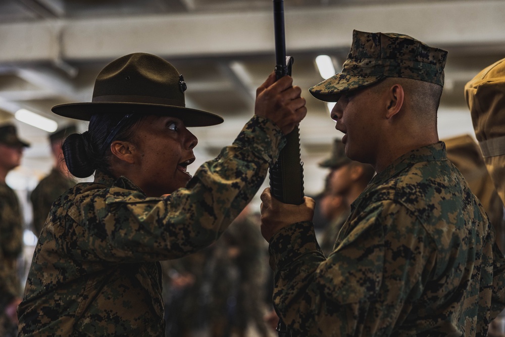 Delta Company SDI Inspection