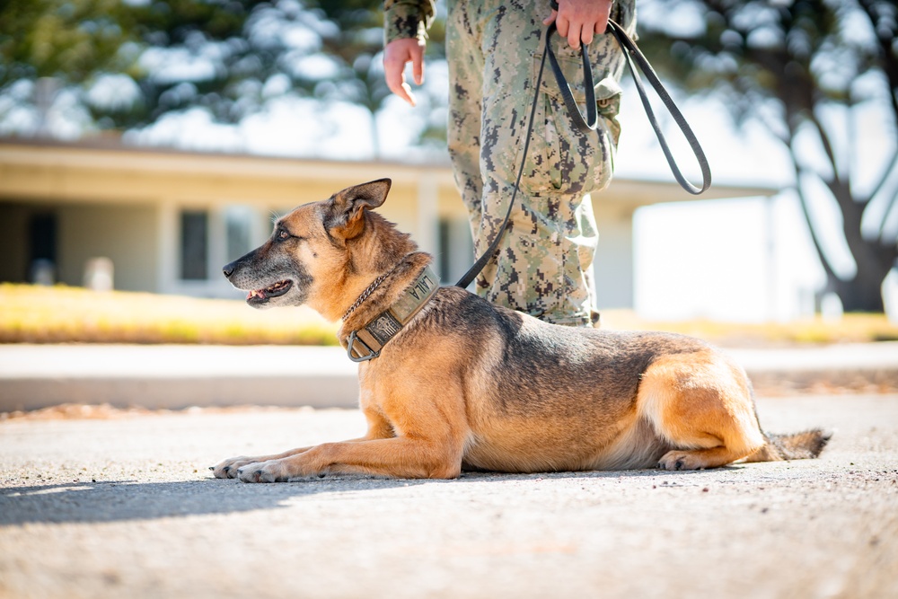 NB Ventura County Participates in the Navy’s Primary Force Protection Exercise