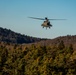 1st Air Cavalry Brigade takes flight during Exercise Combined Resolve