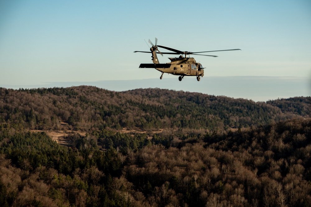 1st Air Cavalry Brigade takes flight during Exercise Combined Resolve