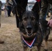 PMO Military canine retirement at MCAS Iwakuni