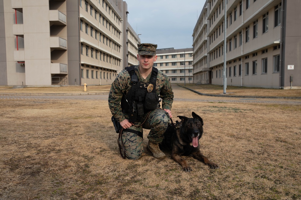 PMO Military canine retirement at MCAS Iwakuni