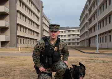 PMO Military canine retirement at MCAS Iwakuni