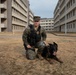 PMO Military canine retirement at MCAS Iwakuni