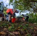 PMRF Sailors and Civilians Volunteer at Alakoko Fish Pond