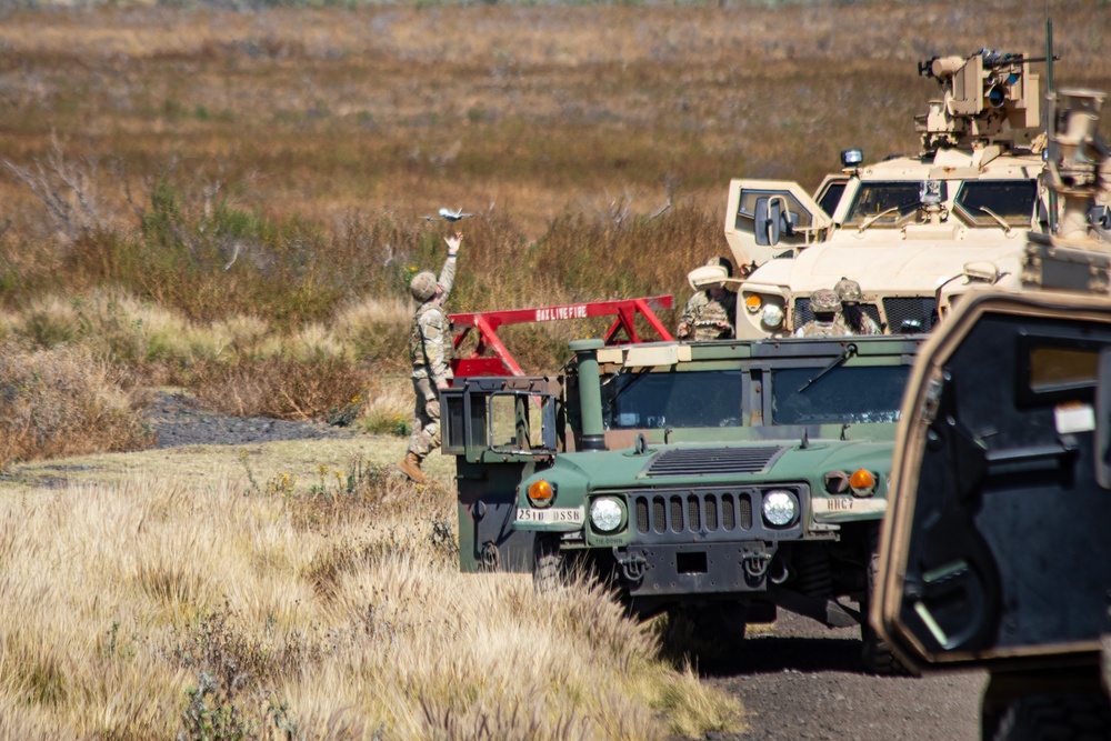 25th DSB Conducts Convoy Escort Teams During Operation PIKO