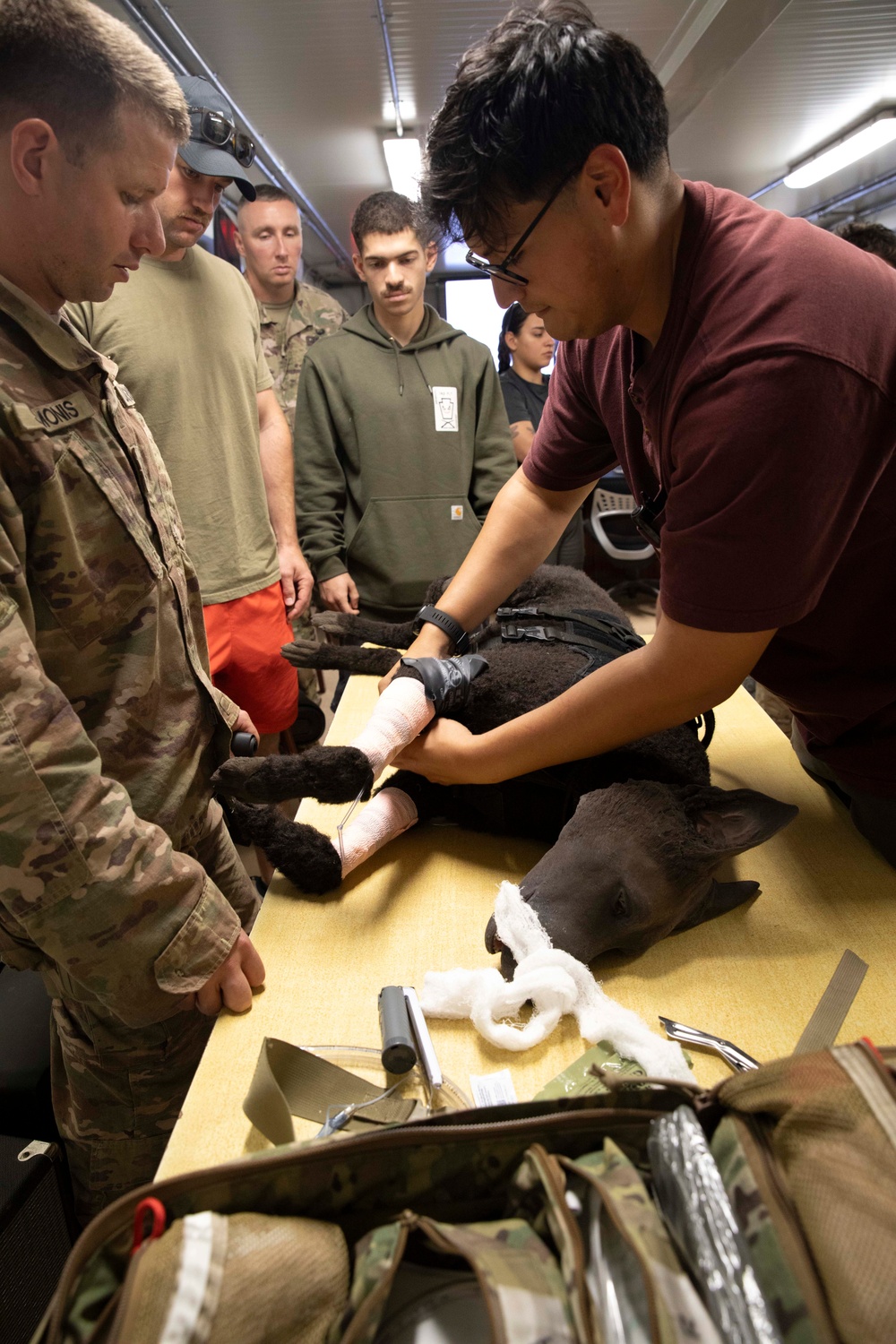 Canine TCCC