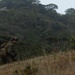 31st MEU | CAAT and LAR Conduct Training