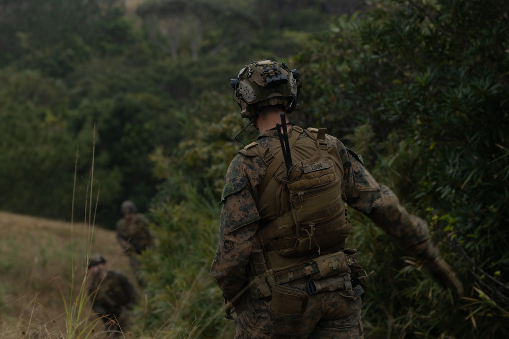 31st MEU | CAAT and LAR Conduct Training