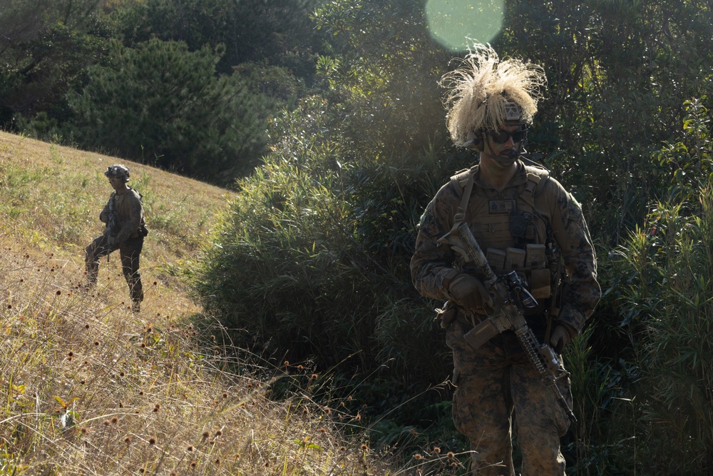 31st MEU | CAAT and LAR Conduct Training