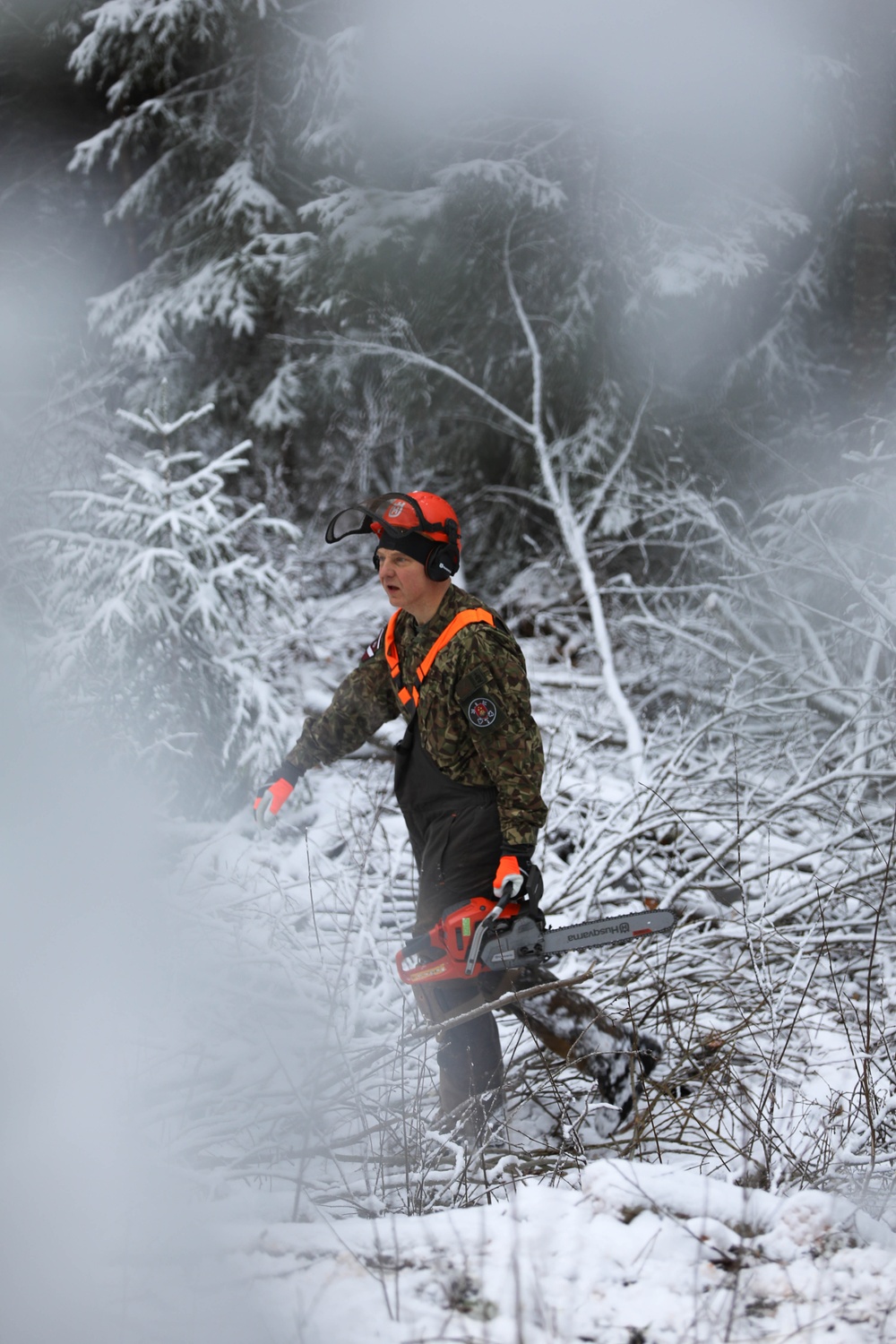 Chainsaw Diplomacy Provides Warmth for Twelve Years and Counting