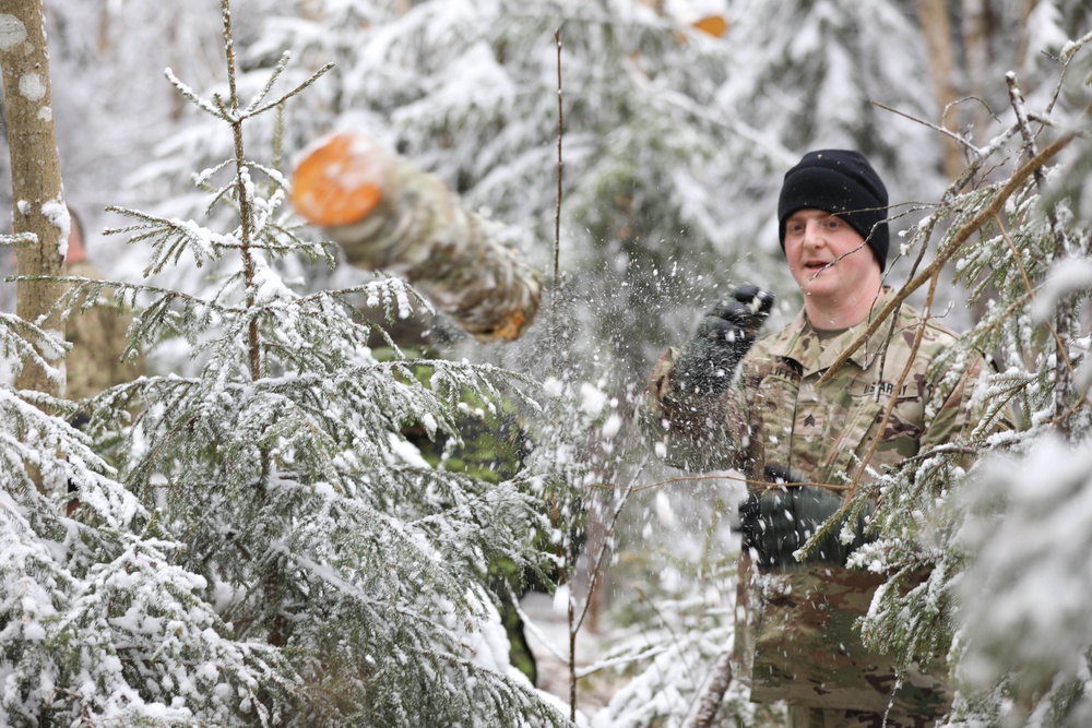 Chainsaw Diplomacy Provides Warmth for Twelve Years and Counting