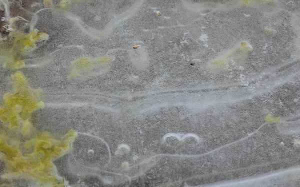 Combined Resolve 25-1 Transforming in Contact