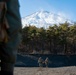 HSC-12 medevac training with 3rd Light Armored Reconnaissance Battalion