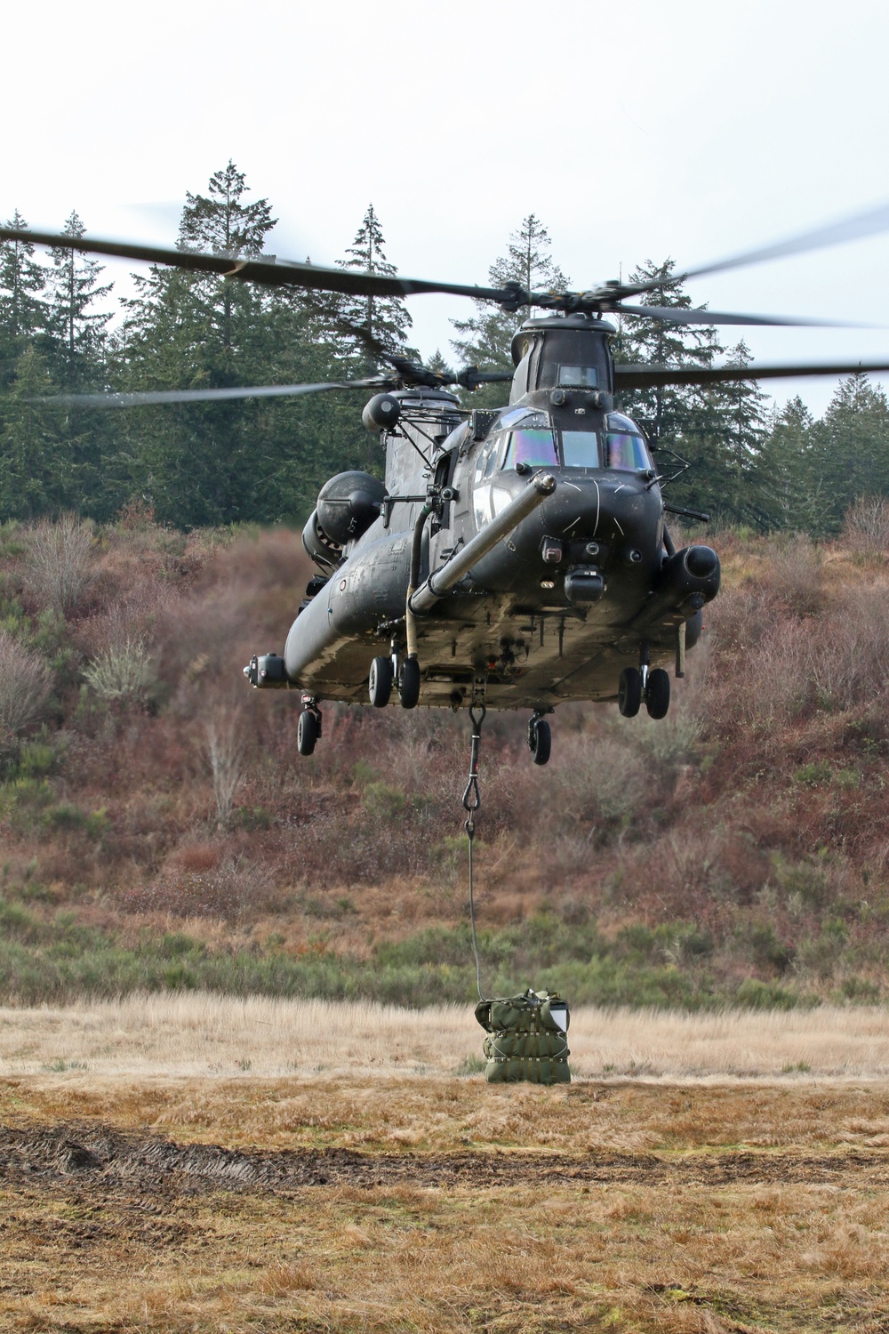 Sustainment Soldiers Learn Sling Load Operations