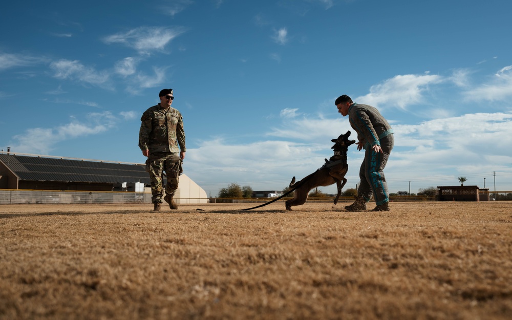 Luke AFB Honorary Commanders Engage in Immersion Tour