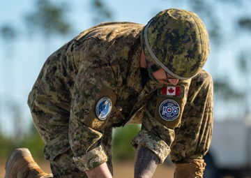 Strengthening Ties: RCAF and USAF Share a Commitment to Readiness