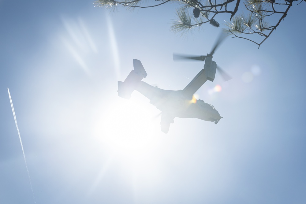 26th MEU | V 2/2 conducts TRAP Training