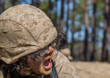 Bravo Company Day Movement Course