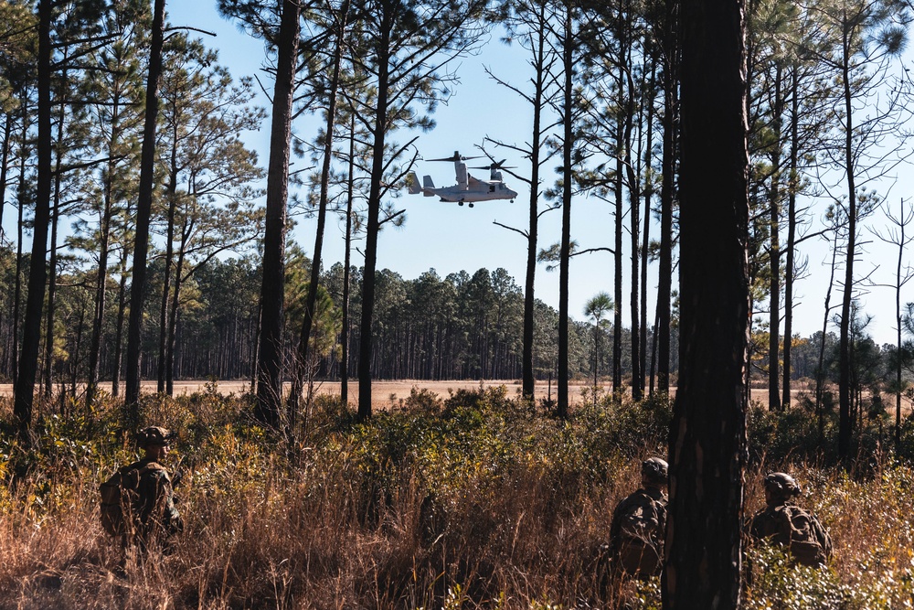 2/2 Conducts TRAP Training on TLZ Condor