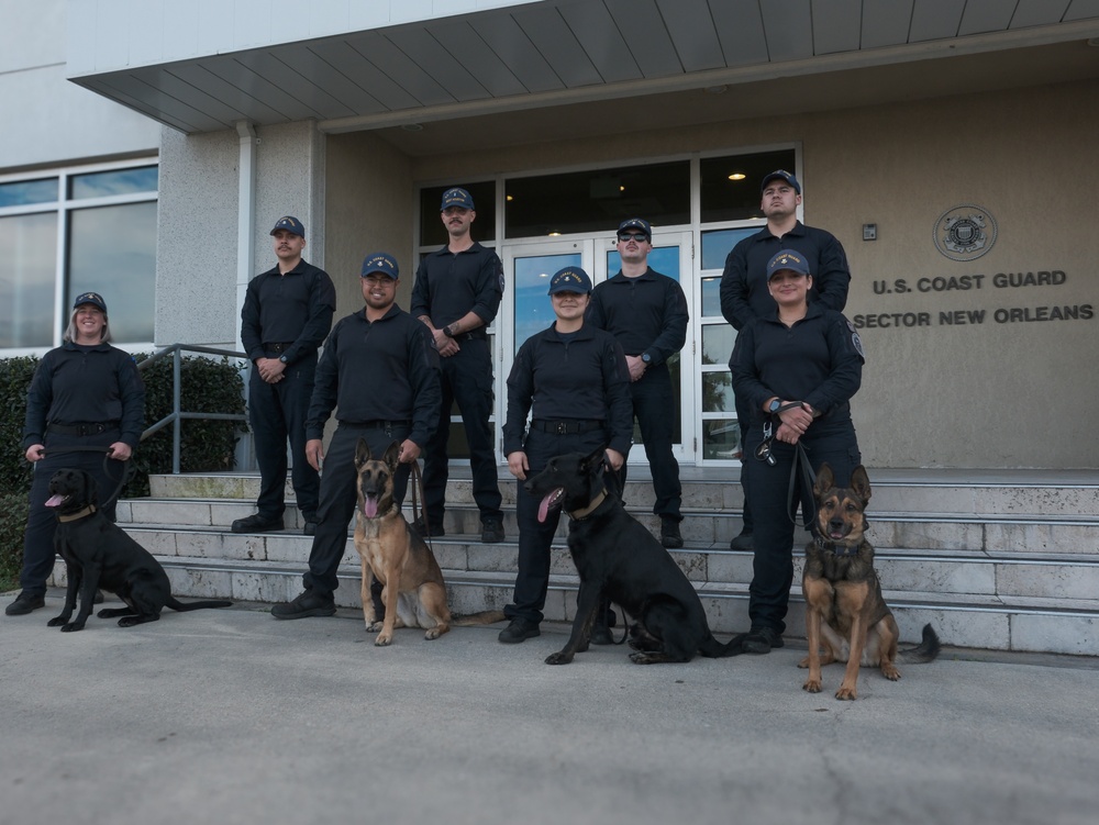 US Coast Guard K-9s in arrive New Orleans