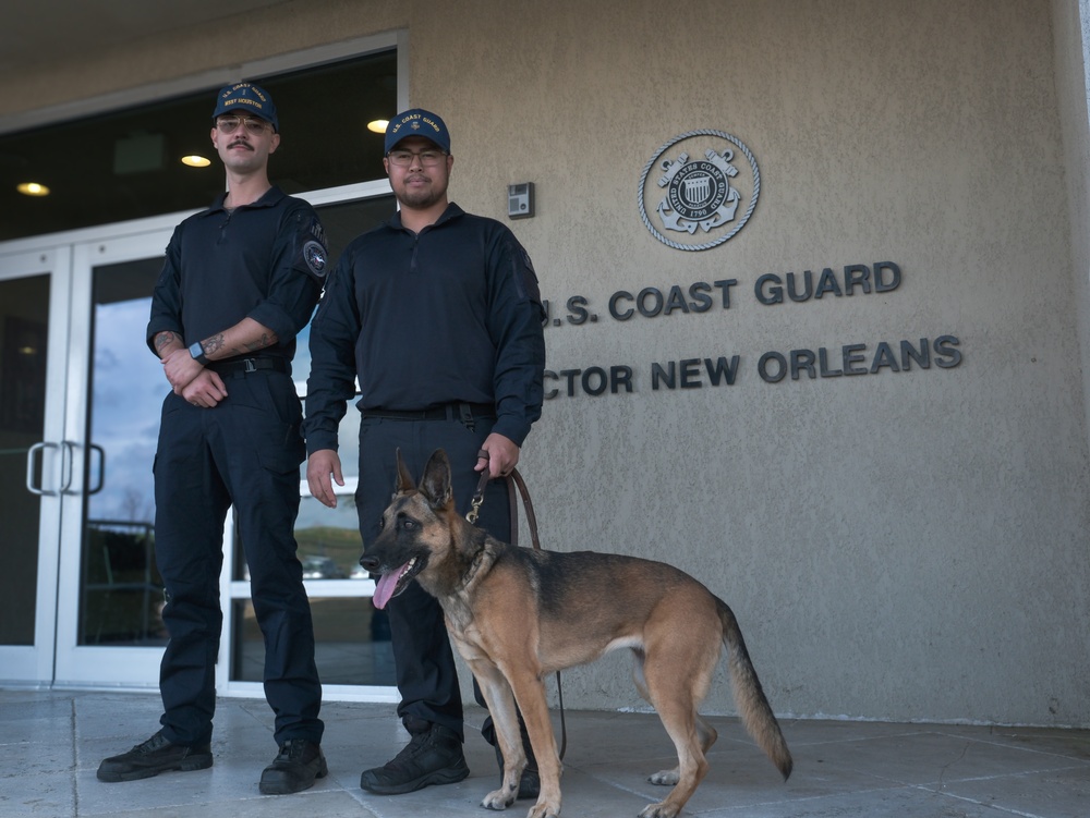 US Coast Guard K-9s in arrive New Orleans