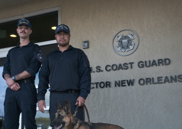 US Coast Guard K-9s in arrive New Orleans