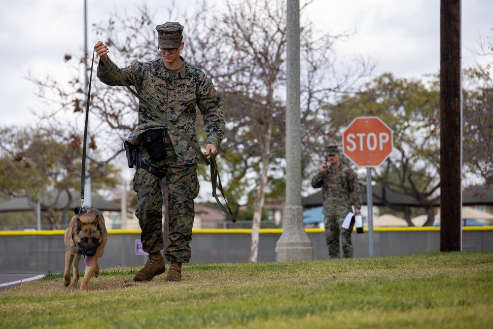 MCAS Miramar MWDs Detect Contraband during Exercise