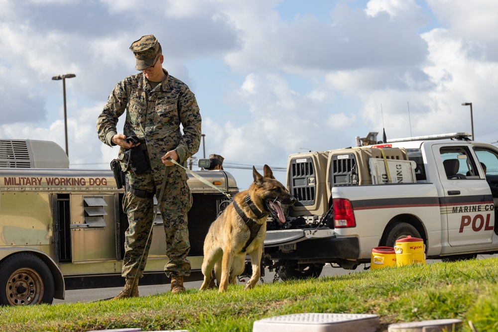 MCAS Miramar MWDs Detect Contraband during Exercise