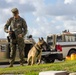 MCAS Miramar MWDs Detect Contraband during Exercise