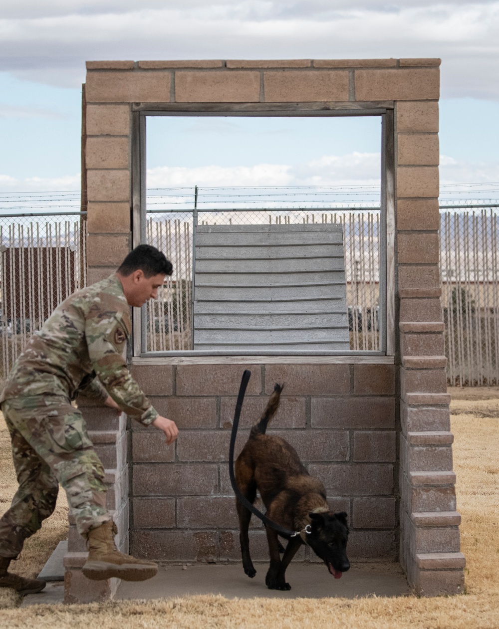 412th SFS MWD Training