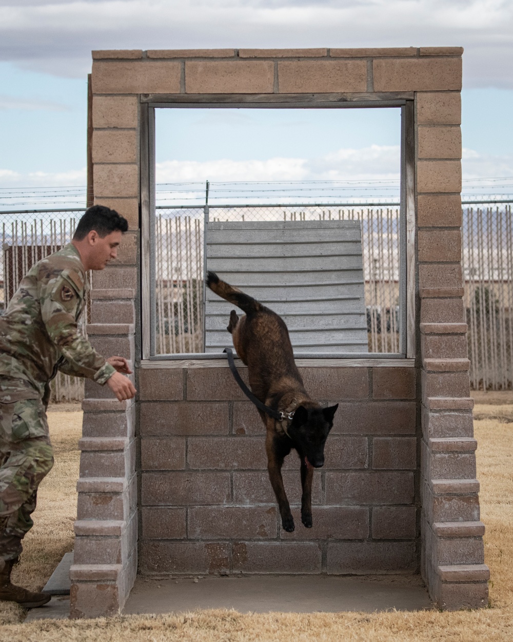 412th SFS MWD Training