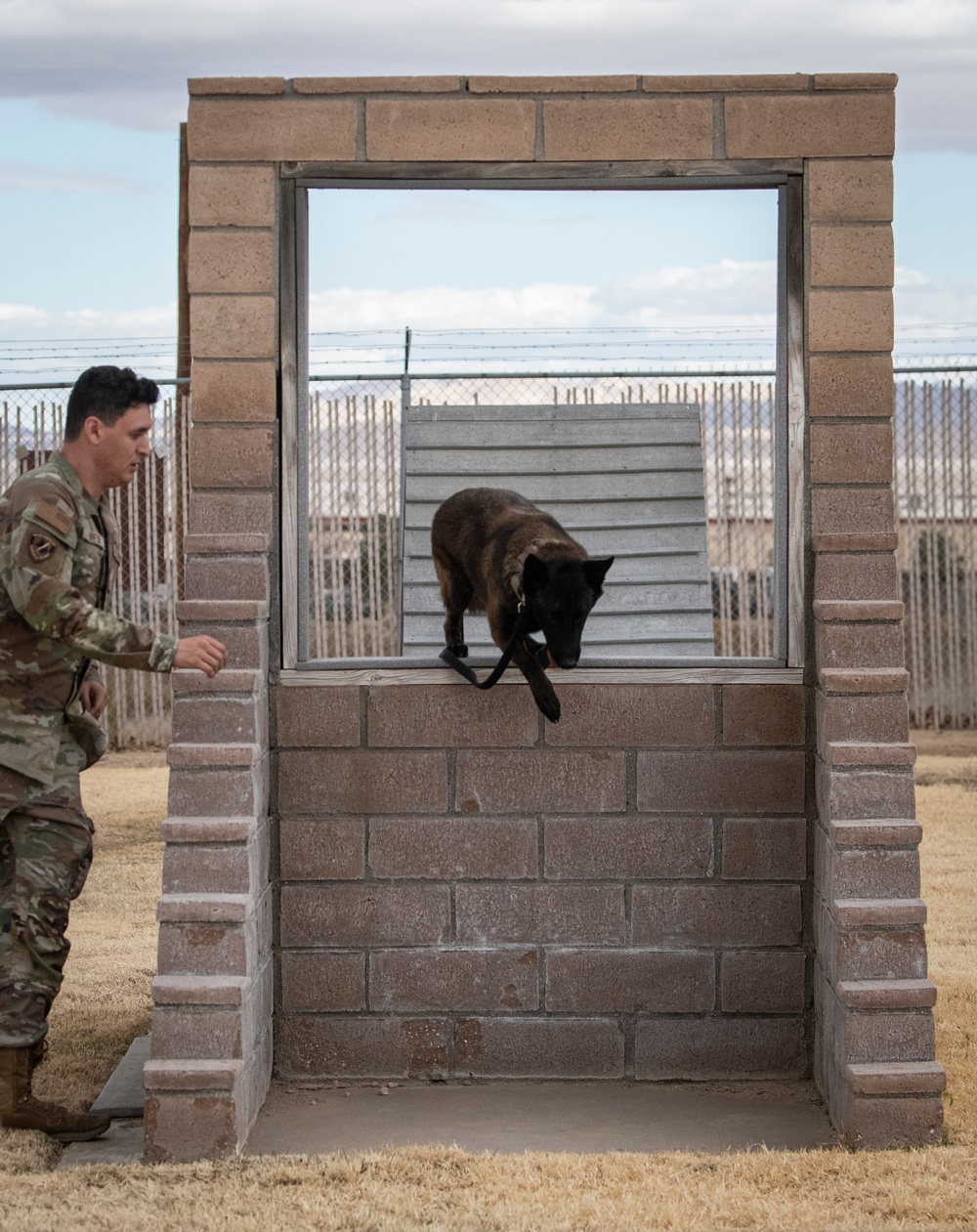 412th SFS MWD Training