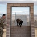 412th SFS MWD Training