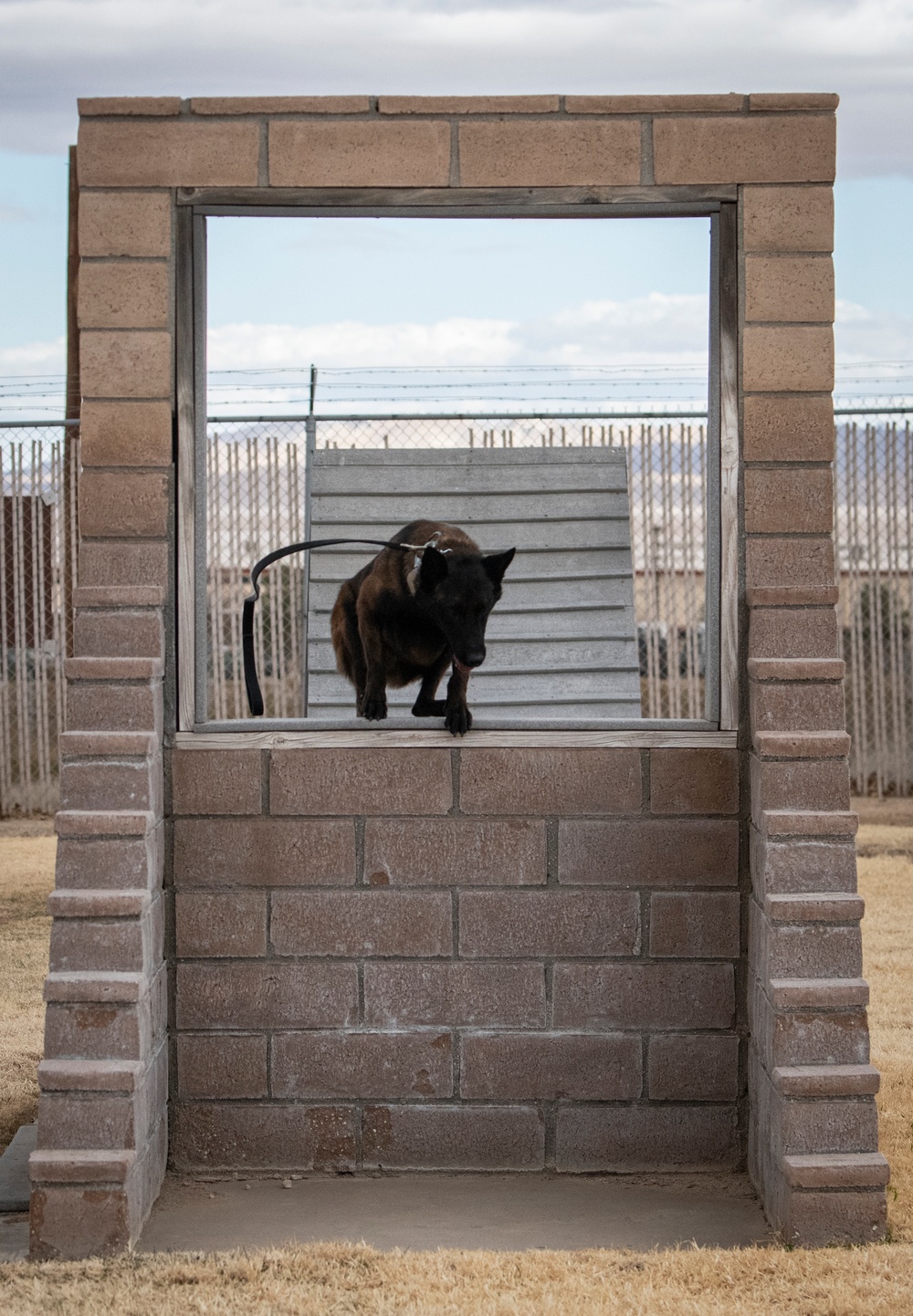 412th SFS MWD Training