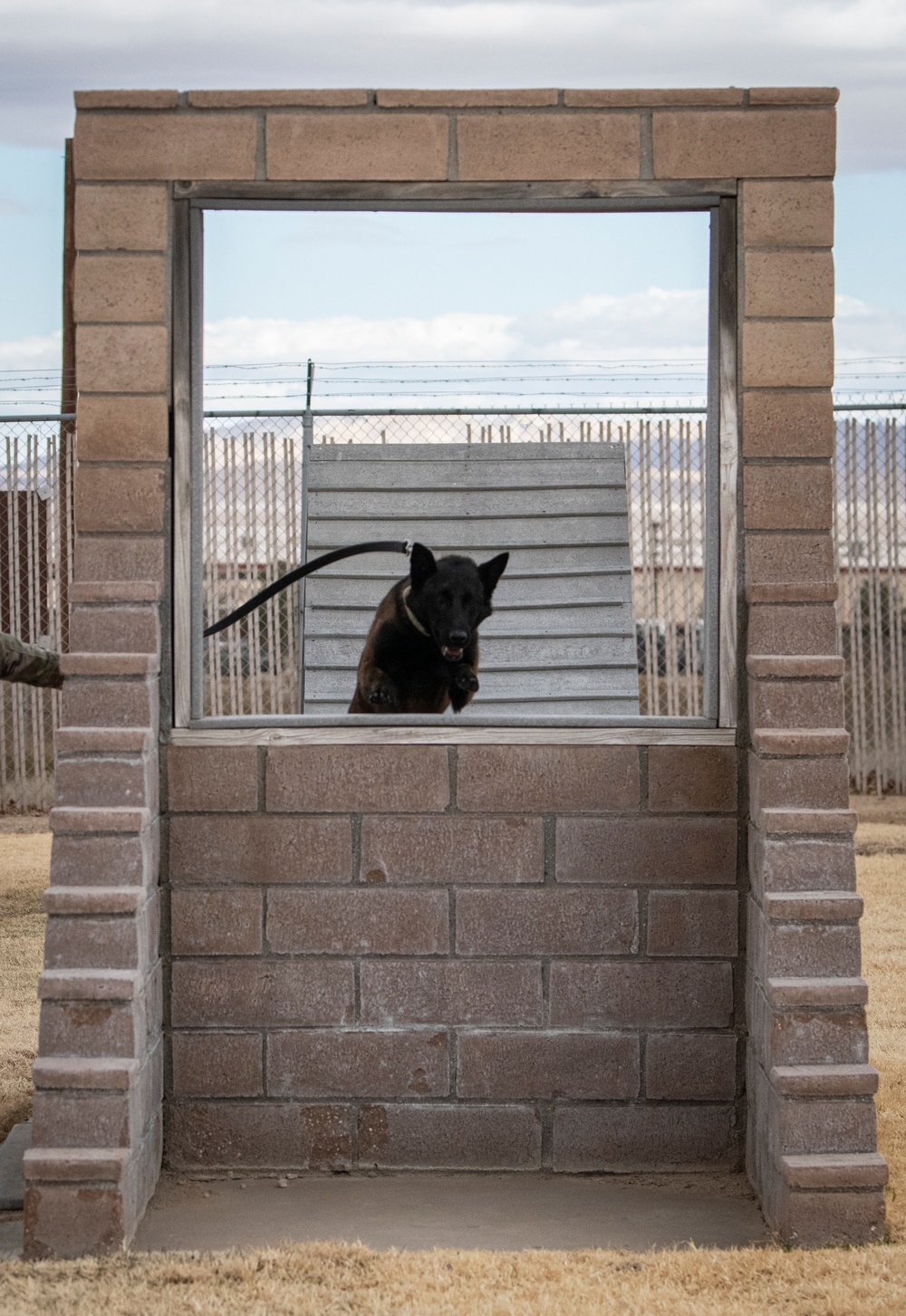 412th SFS MWD Training