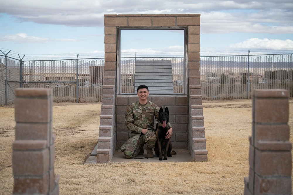 412th SFS MWD Training