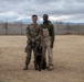 412th SFS MWD Training