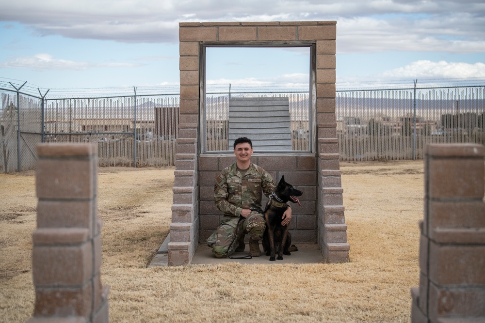 412th SFS MWD Training