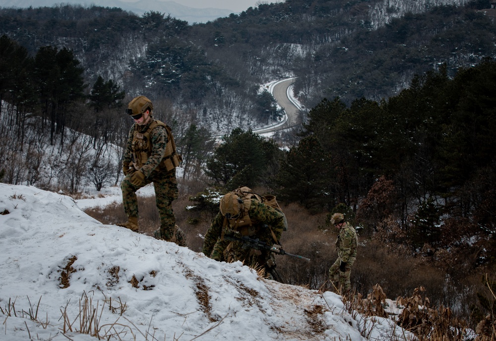 2nd Infantry Division, 2/3 Infantry Regiment Live-Fire Exercise