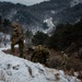 2nd Infantry Division, 2/3 Infantry Regiment Live-Fire Exercise