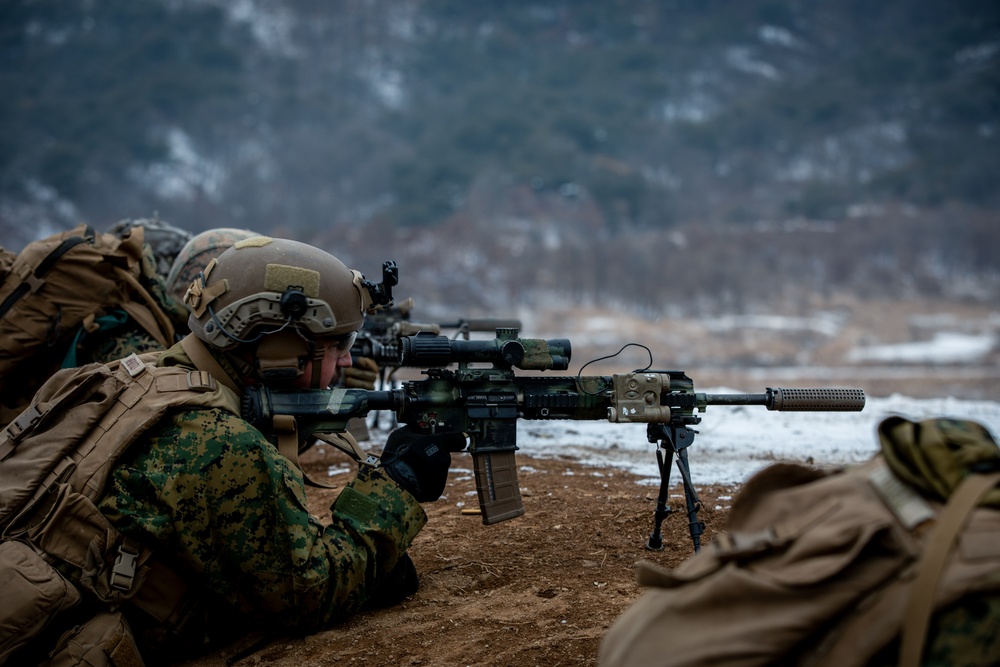 2nd Infantry Division, 2/3 Infantry Regiment Live-Fire Exercise