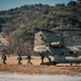 2nd Infantry Division, 2/3 Infantry Regiment Live-Fire Exercise