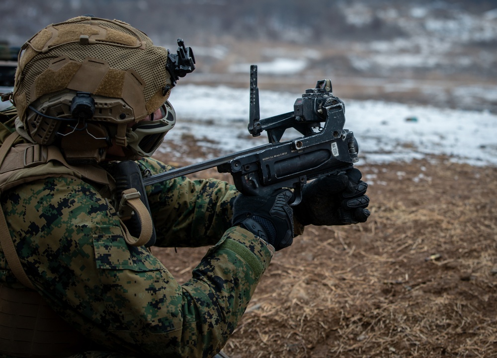 2nd Infantry Division, 2/3 Infantry Regiment Live-Fire Exercise