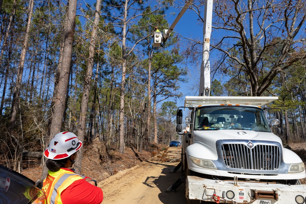 Hurricane Helene Recovery: Leaners, Hangers, and Stump Removal Candler County, Georgia.