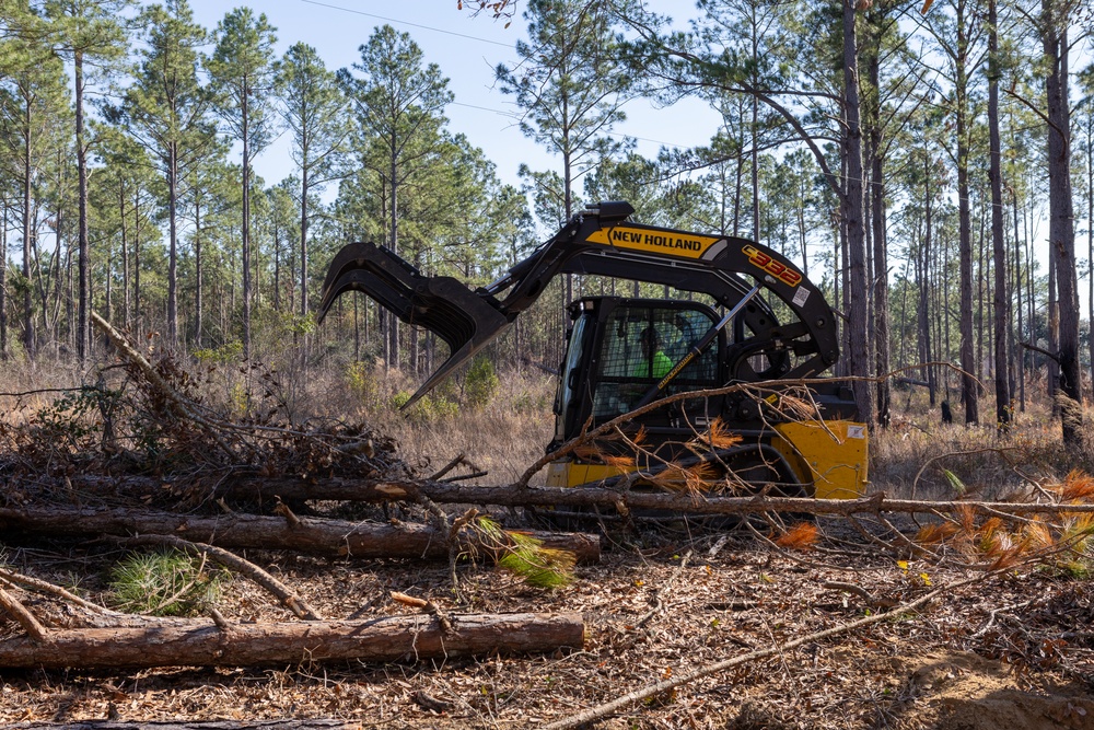 Hurricane Helene Recovery: Leaners, Hangers, and Stump Removal Candler County, Georgia.