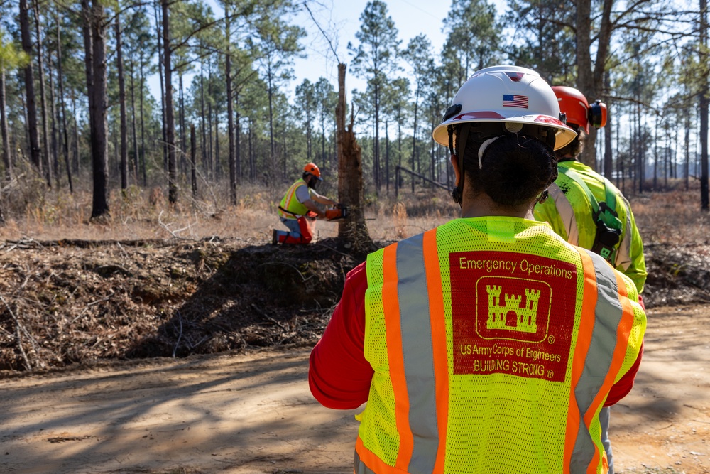 Hurricane Helene Recovery: Leaners, Hangers, and Stump Removal Candler County, Georgia.